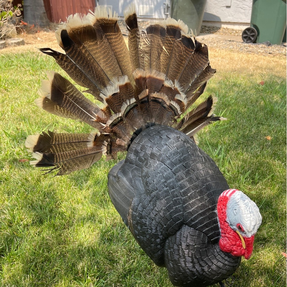 Primos Killer B Strutting Gobbler Turkey Decoy 69021 Realistic Hunting Gear